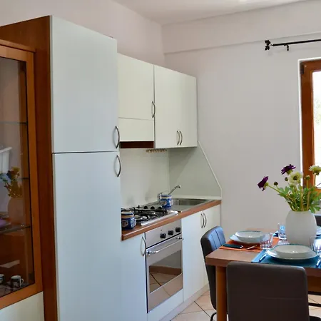 In The Center Of Apartment *