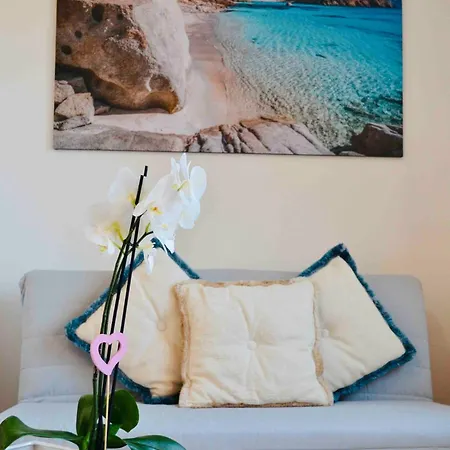 In The Center Of Apartment Olbia